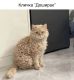 Без описания