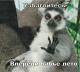 Без описания