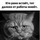 Без описания
