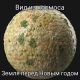 Без описания