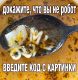 Без описания