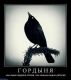 Без описания