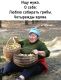Без описания