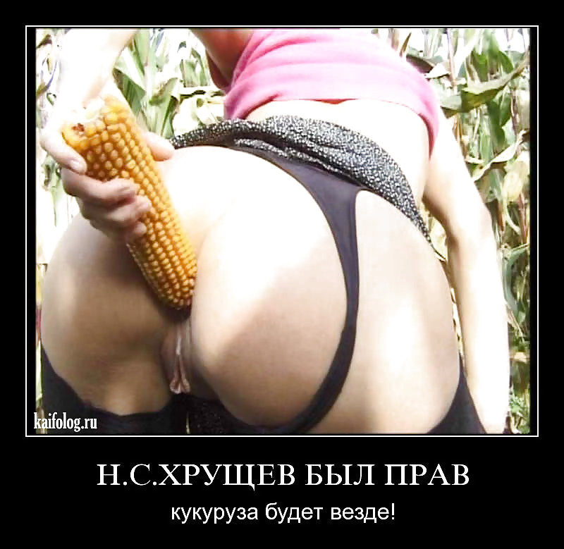Яндекс Порно Приколы