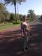 Без описания
