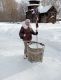 Без описания