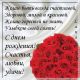 Без описания