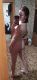 Дашка давалка