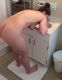 Без описания