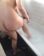Без описания