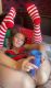 Без описания