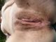 Без описания