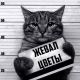 Без описания
