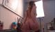 Kate Kuray (34) 20.04.23.Bdsm babe dancing.01