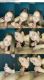 Kate Kuray (54) 20.09.14.Blowjob close up vertical video.03