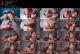 Kate Kuray (58) 20.09.27.cosplay d va.04