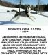 Балбес