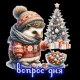 Без описания