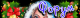 655cf490d2c957.934195961700590736_655cf490d2ca15.00295823.png