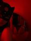 Без описания