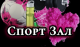 Без описания