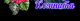 65c38cec40d438.589875851707314412_65c38cec40d482.86621173.png