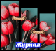 Без описания
