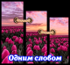 Без описания