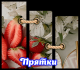 Без описания