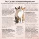 Без описания