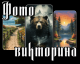 Без описания