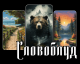 Без описания