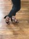 Выбираю босоножки)