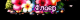 6671d55e0381a8.910995641718736222_6671d55e0381f2.35952200.png