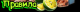 6671d5da717a97.144033981718736346_6671d5da717ae4.67340976.png