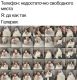 Без описания
