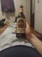 Без описания