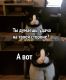 Без описания