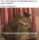 Без описания