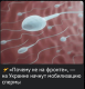 Без описания