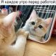 Без описания