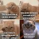 Без описания
