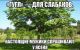 Без описания