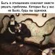Без описания