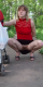 Без описания