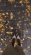 6acb6b0406ded3.602431161791716100_6acb6b0406df18.97969806.gif