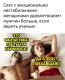 Без описания