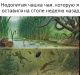 Без описания