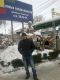 Без описания