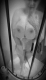 6843bcf0d73638.528088121749269744_6843bcf0d736d2.67865409.gif